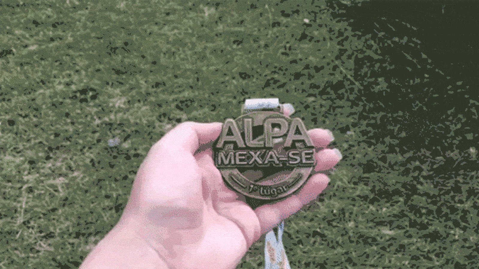 alpa-mexa-se-slide-4